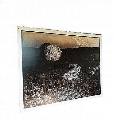 Luigi Bussolati, Wire Chair di Bertoia, fotografia, anni '90