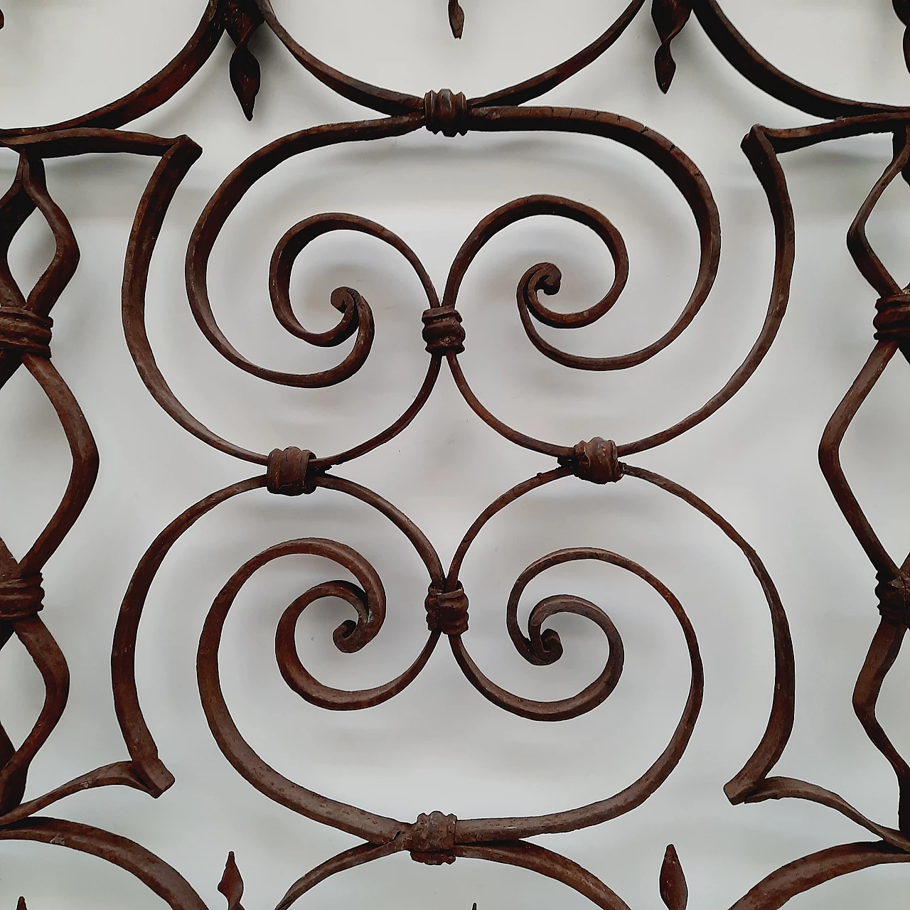 Wrought iron gate with forged curls and twists, 19th century 4