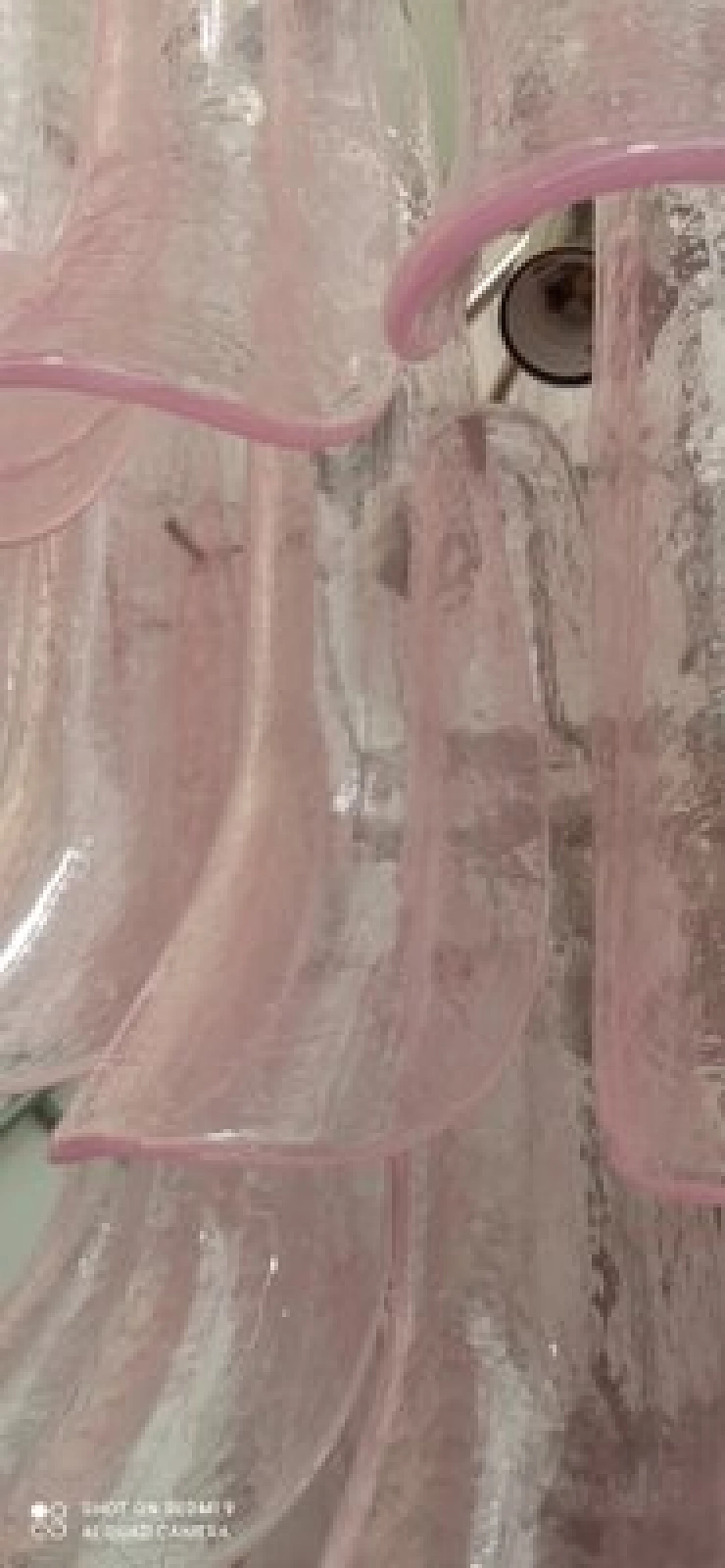 Lampadario con selle in vetro di Murano colorato 6