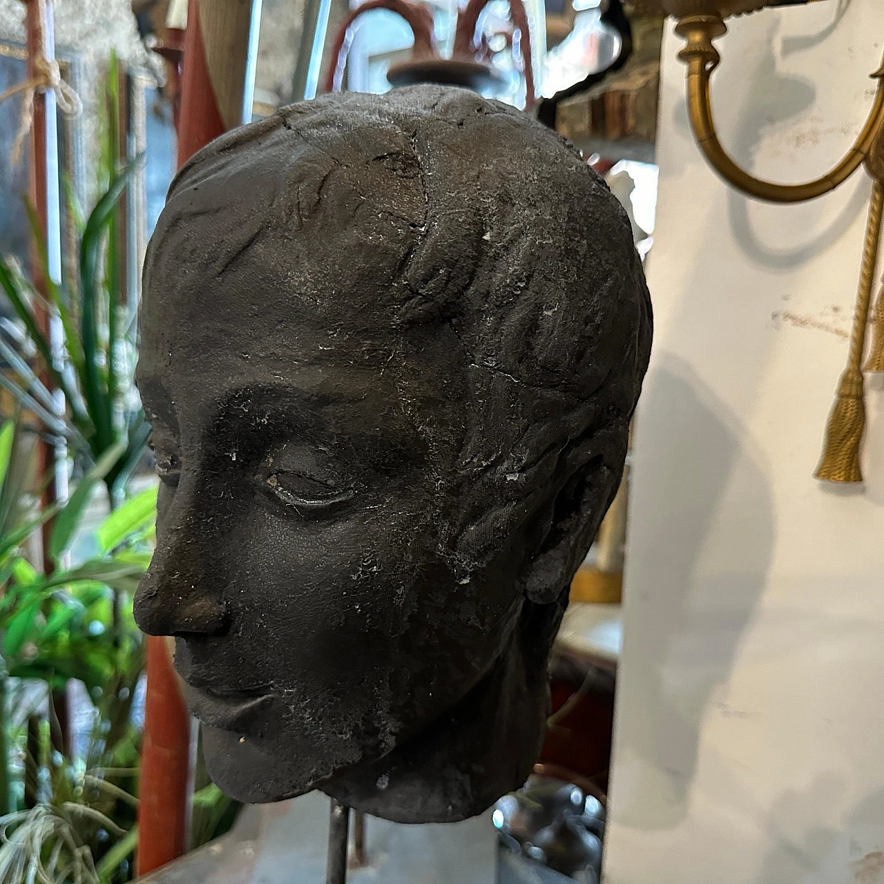 Clay head of a young Sicilian man, late 19th century 4