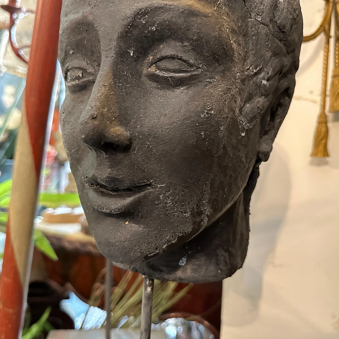 Clay head of a young Sicilian man, late 19th century 7