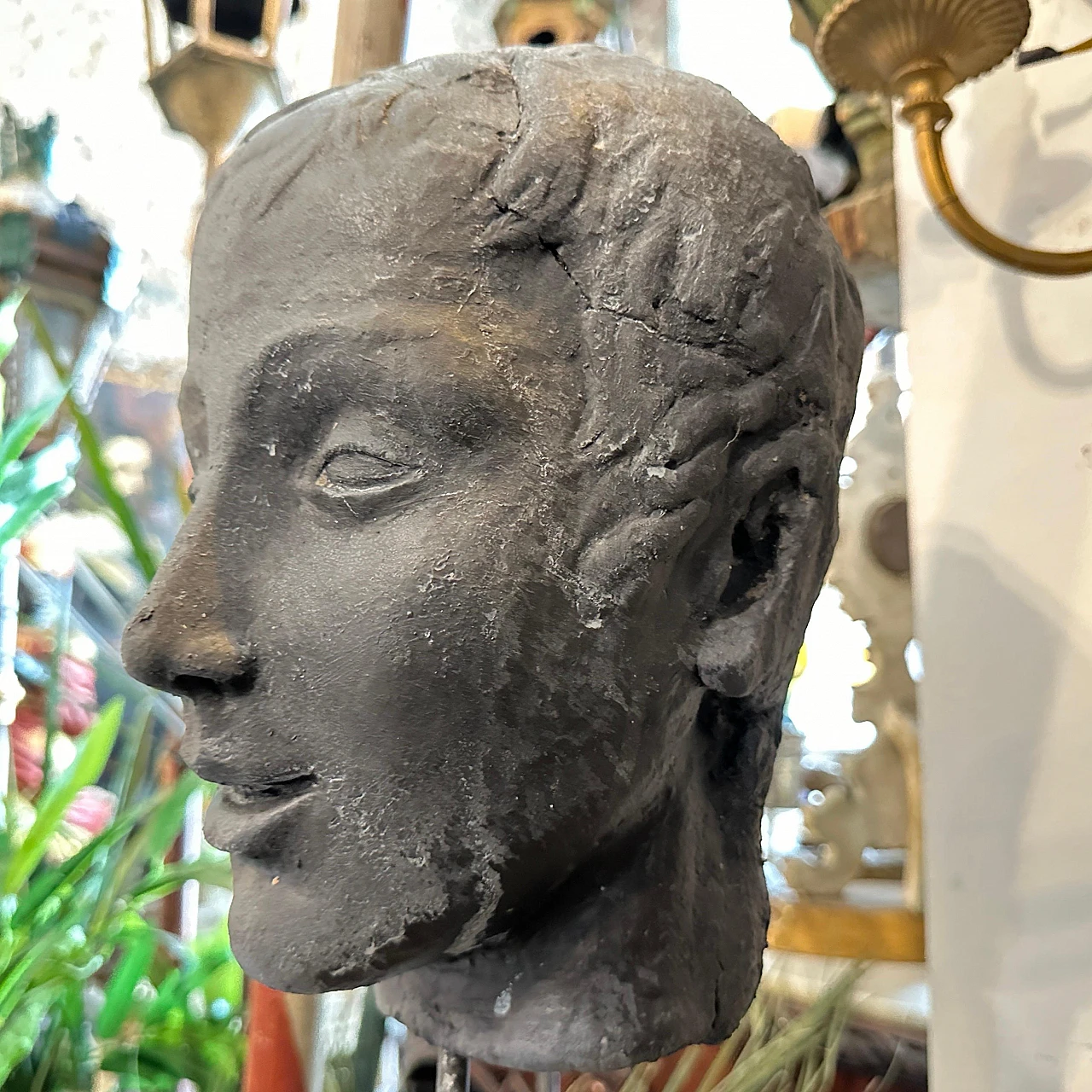 Clay head of a young Sicilian man, late 19th century 8