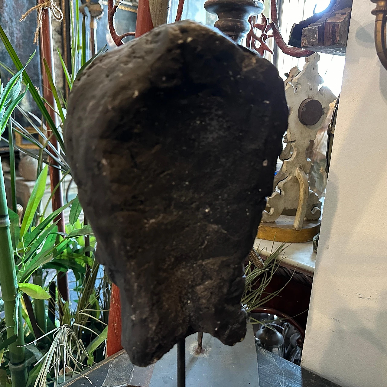 Clay head of a young Sicilian man, late 19th century 9