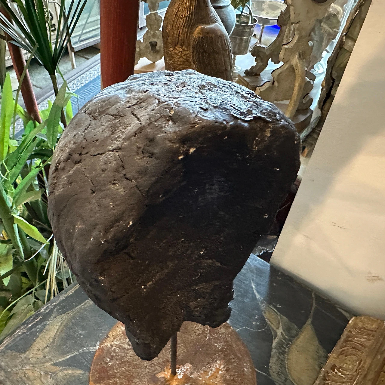 Clay head of a young Sicilian man, late 19th century 10