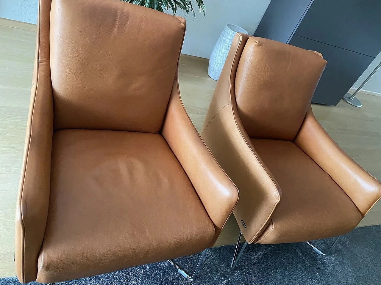Pair of B903 Regina armchairs in leather by Natuzzi, 2000s 1