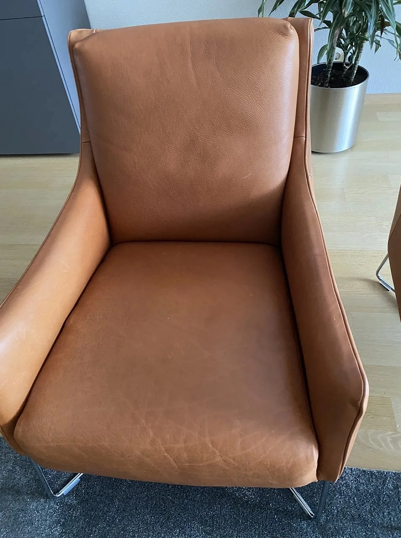 Pair of B903 Regina armchairs in leather by Natuzzi, 2000s 2