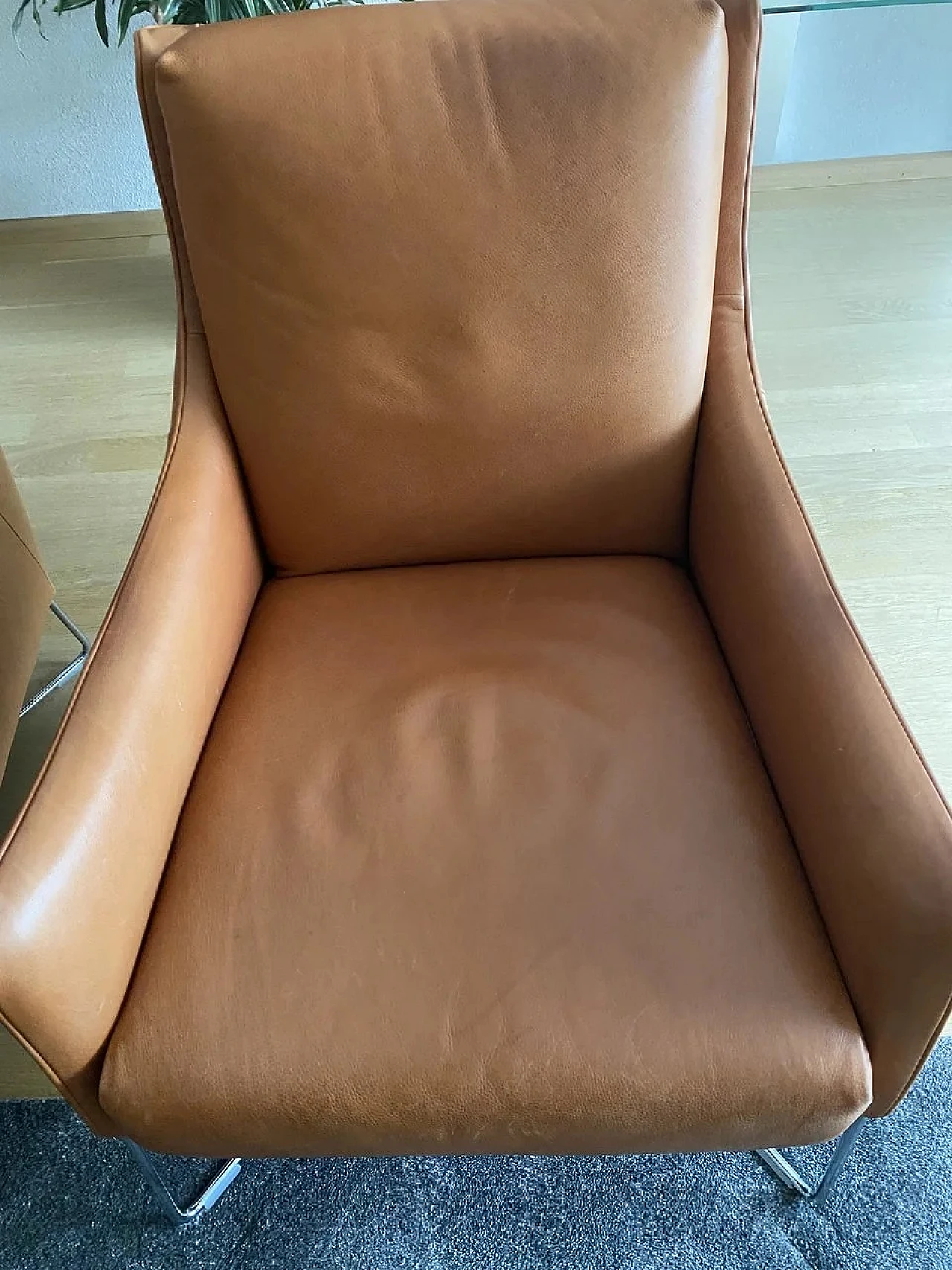 Pair of B903 Regina armchairs in leather by Natuzzi, 2000s 3