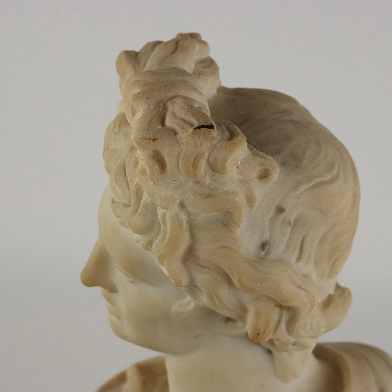Apollo del Belvedere, busto in marmo, fine '800 8