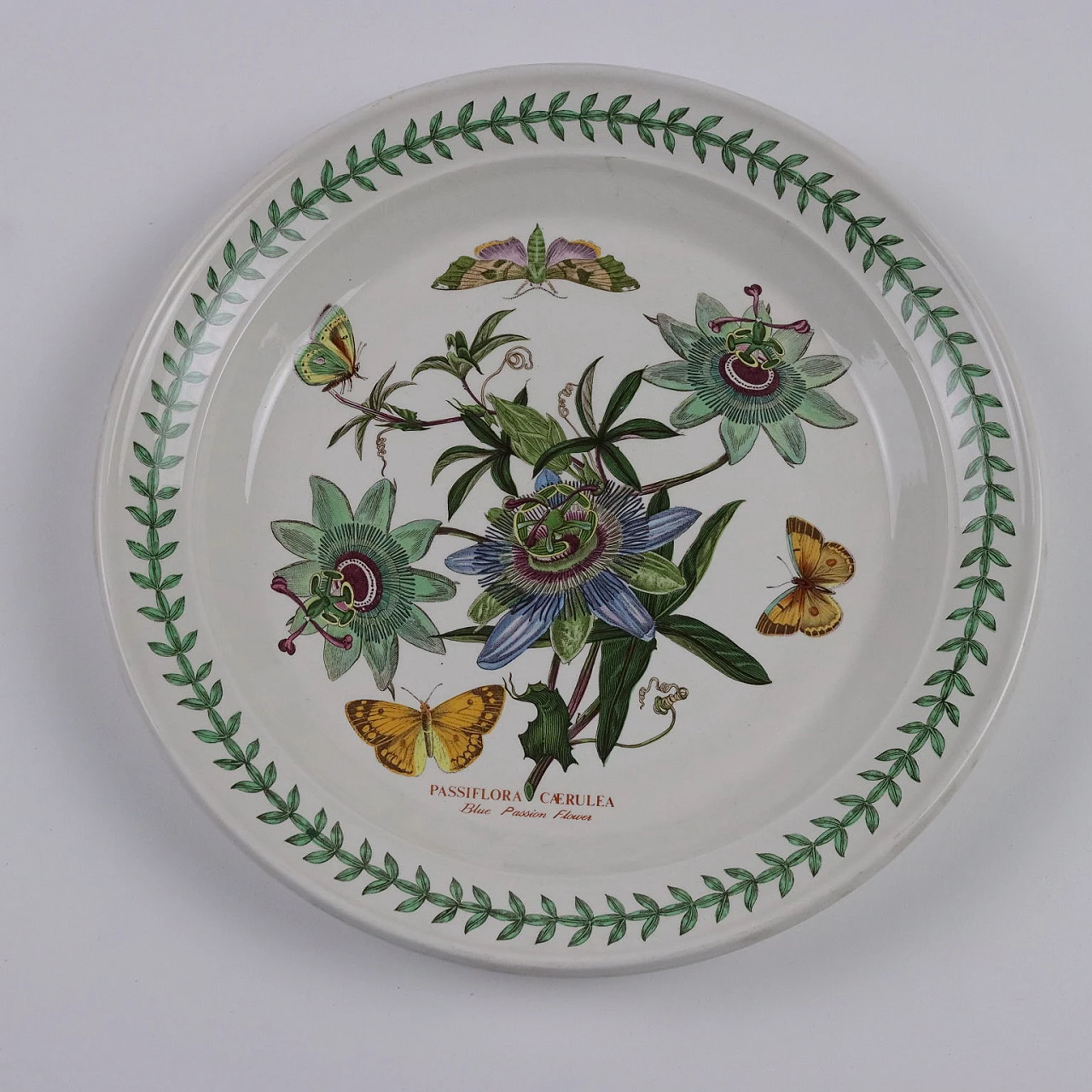 The Botanic Garden Portemeirion porcelain tableware 4