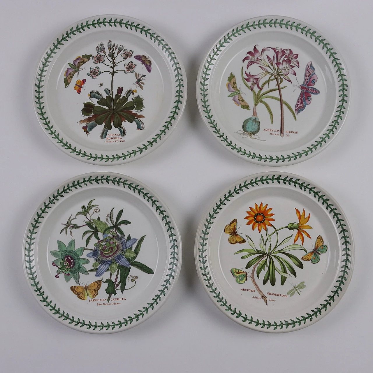 The Botanic Garden Portemeirion porcelain tableware 6