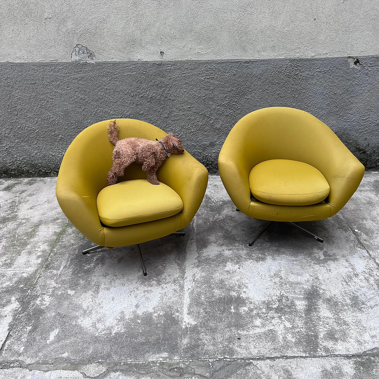 Pair of armchairs by Carl Eric Klote for Overman MFG, 1960s 4