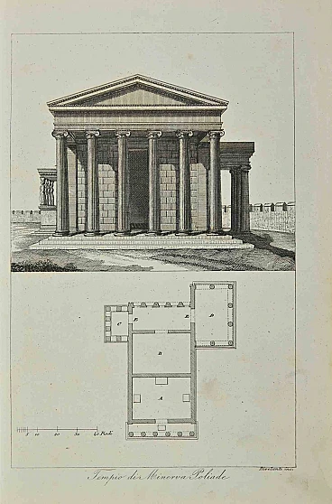 Colonne del Tempio di Minerva Poliade '800