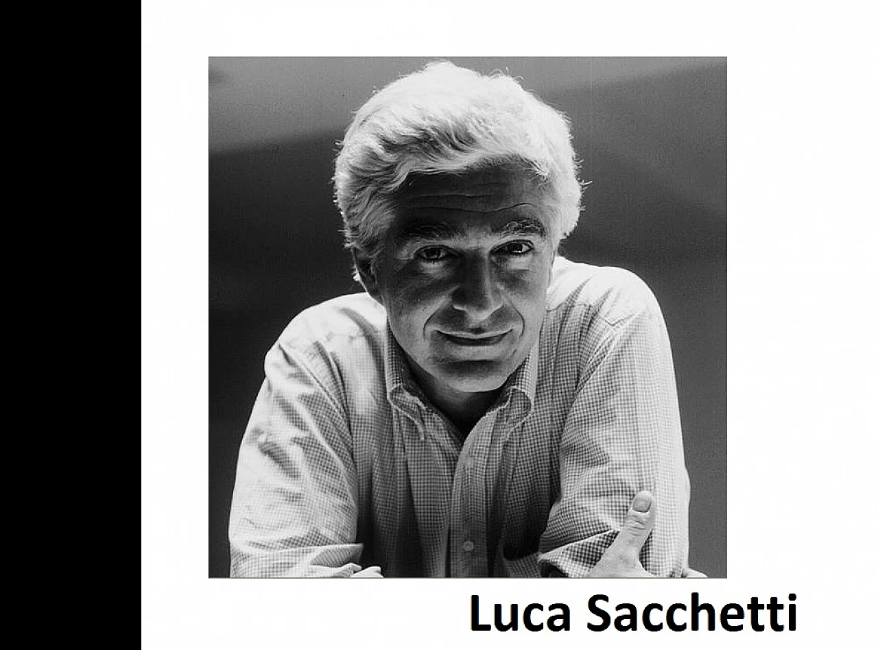 Pair of Hydra Castor armchairs by Scacchetti for Poltrona Frau, 1992 9