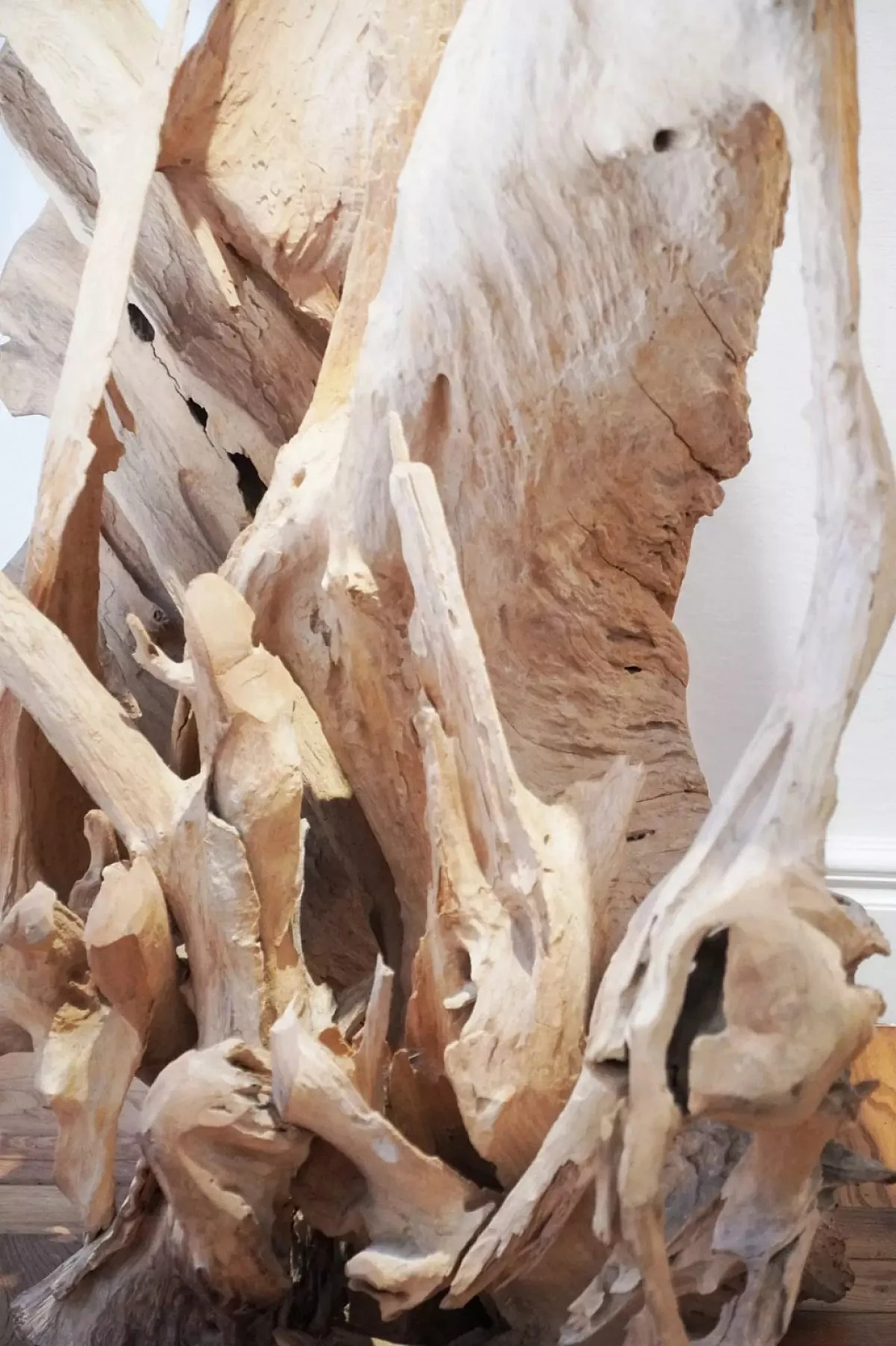 Tronco di ulivo sbiancato e lavorato a scultura, '700 2