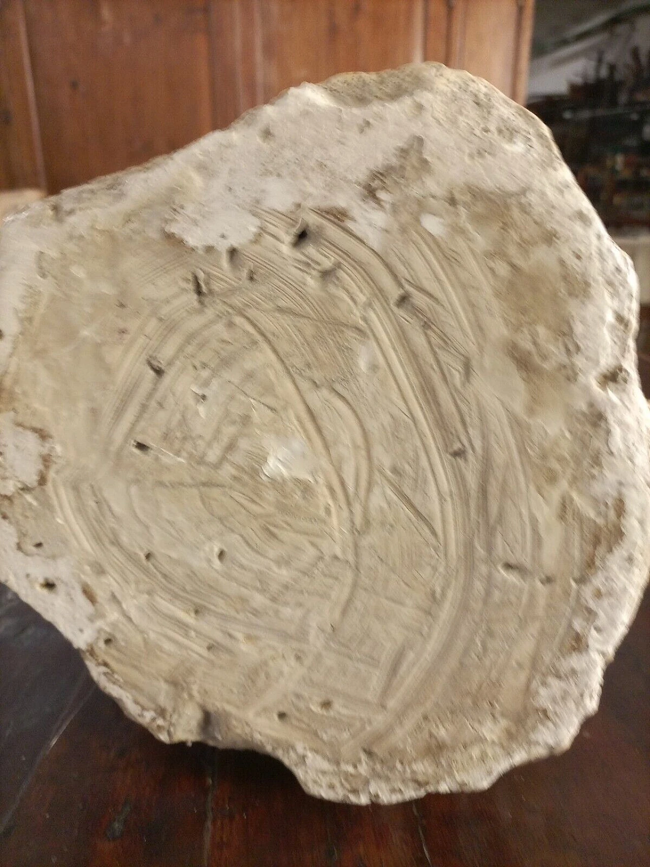 Volto di donna greca, scultura in gesso, inizio '900 7