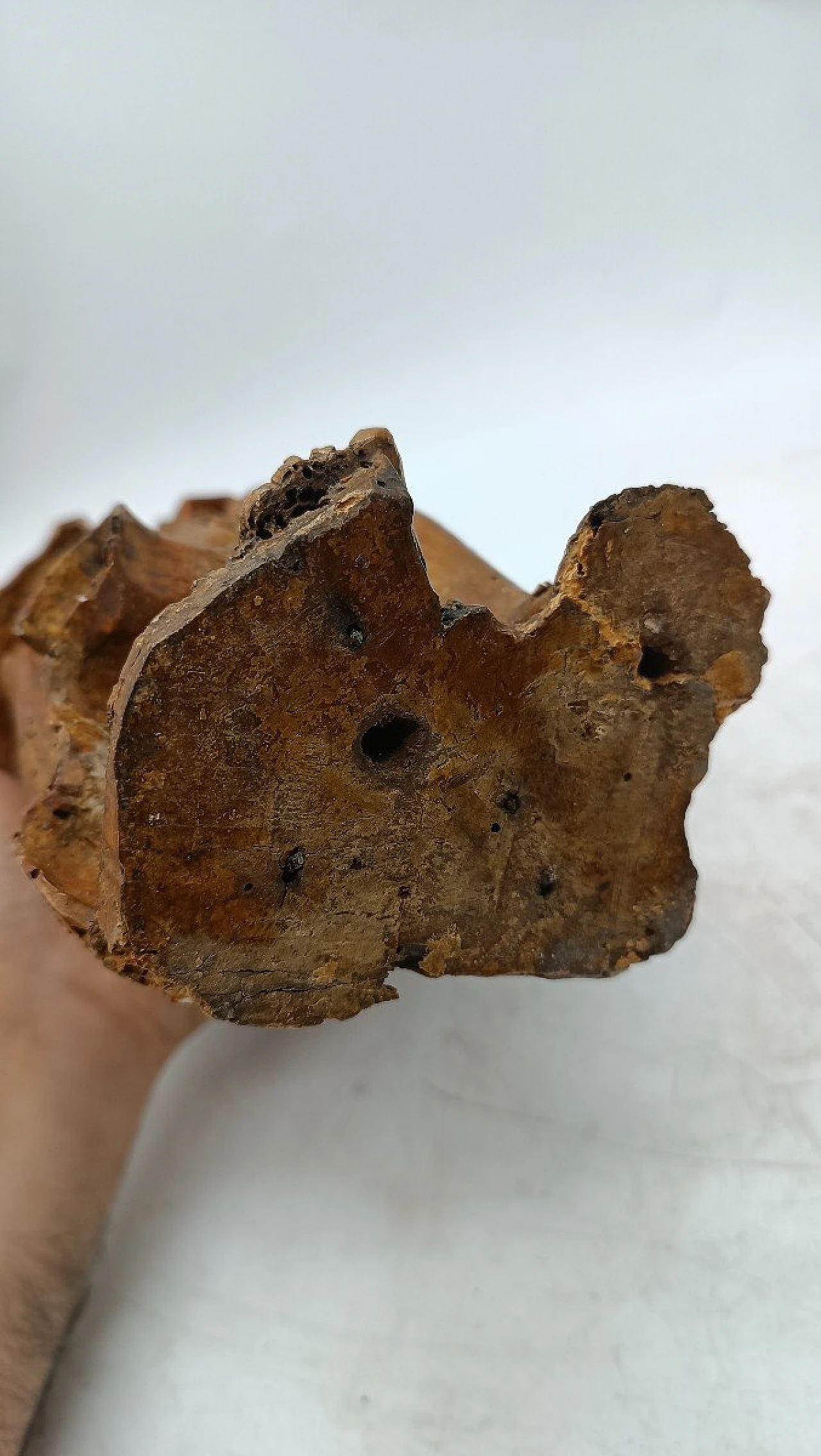 Coppia di sculture toscane di angeli in legno dorato, fine '600 8