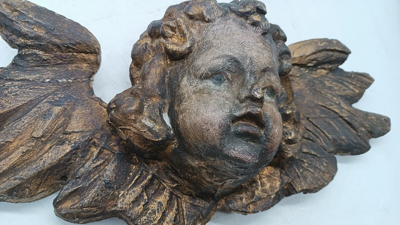 Testa di putto con ali, scultura in legno, inizio '800 5