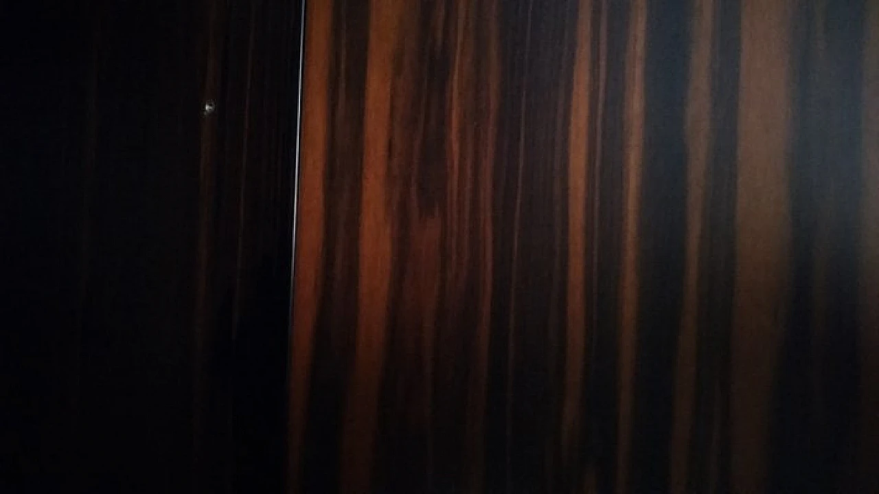 Armadio di Luciano Frigerio per Frigerio Di Desio, anni '60 4