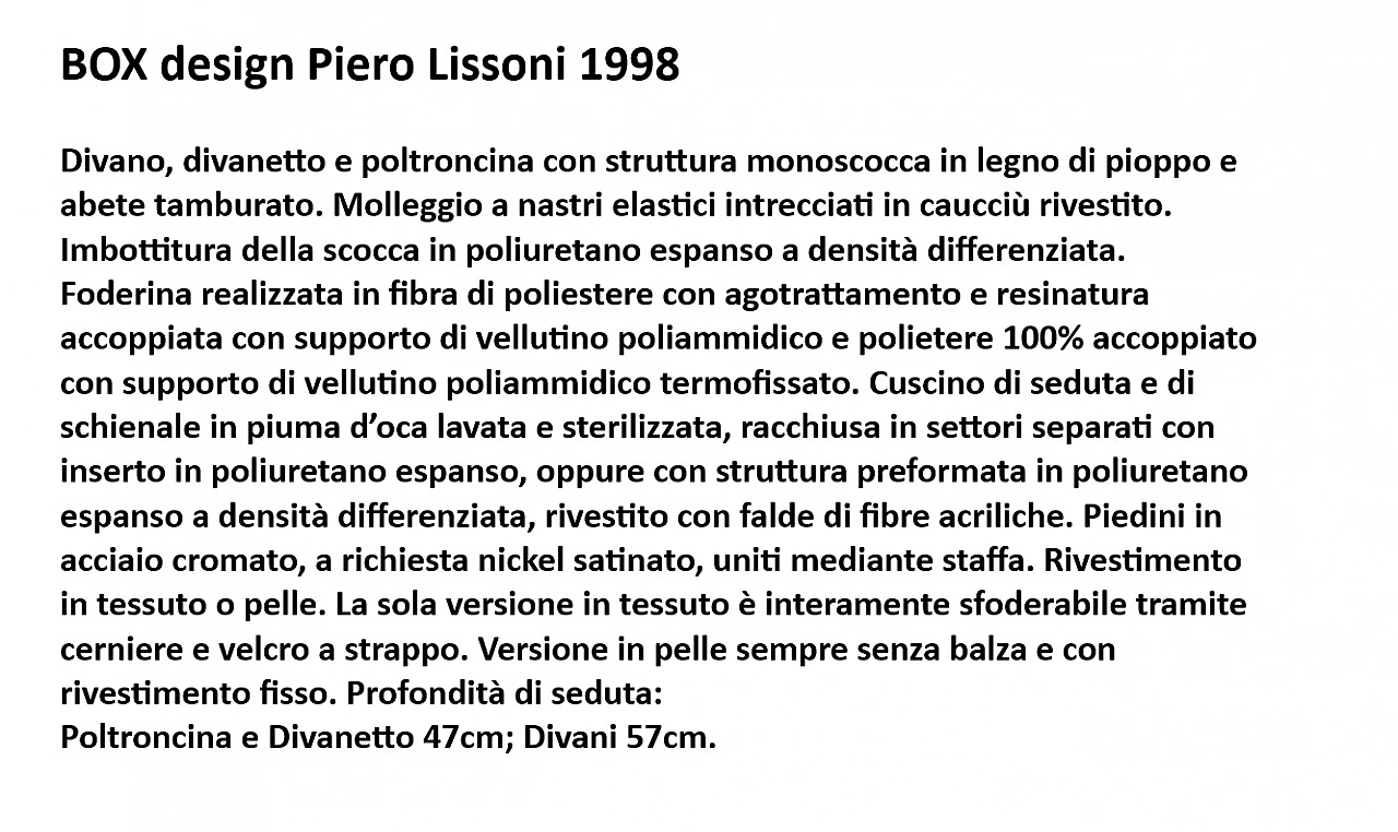 Pair of Box armchairs by Piero Lissoni for Living Divani 13