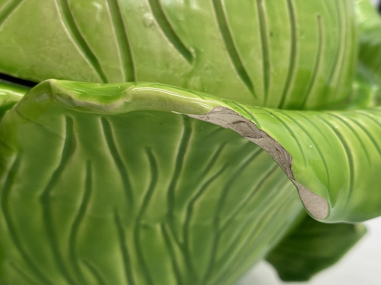 Lampada da tavolo lattuga in ceramica di Jean Roger, anni '50 29