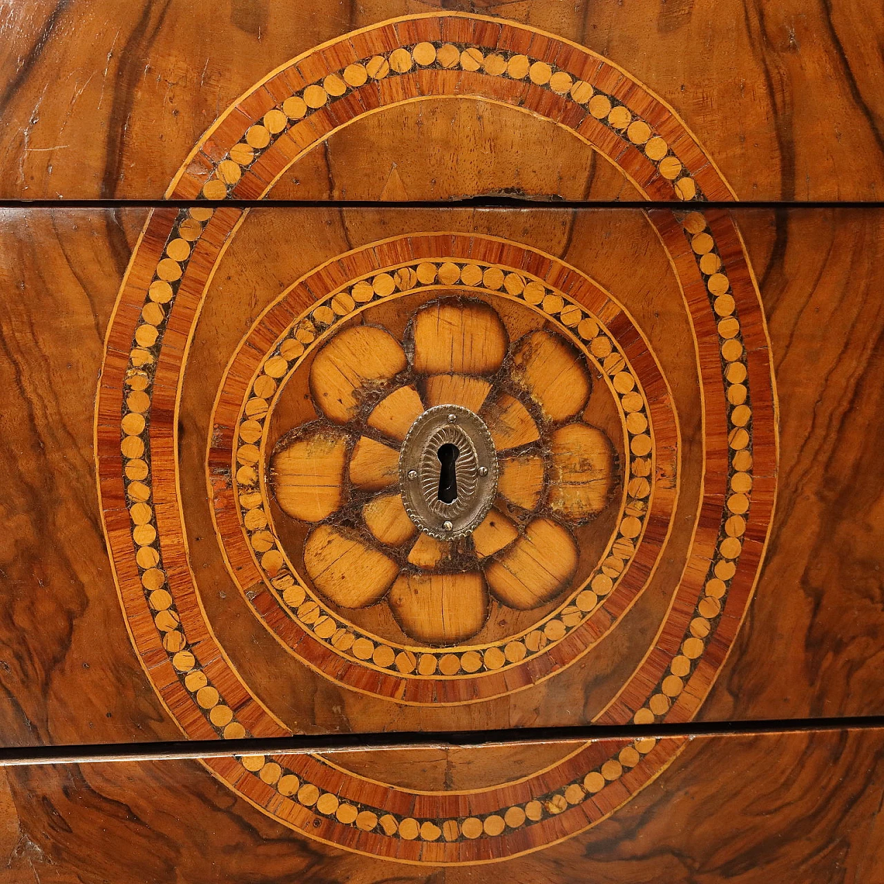 Coppia di comò Luigi XVI in legno intarsiato 7