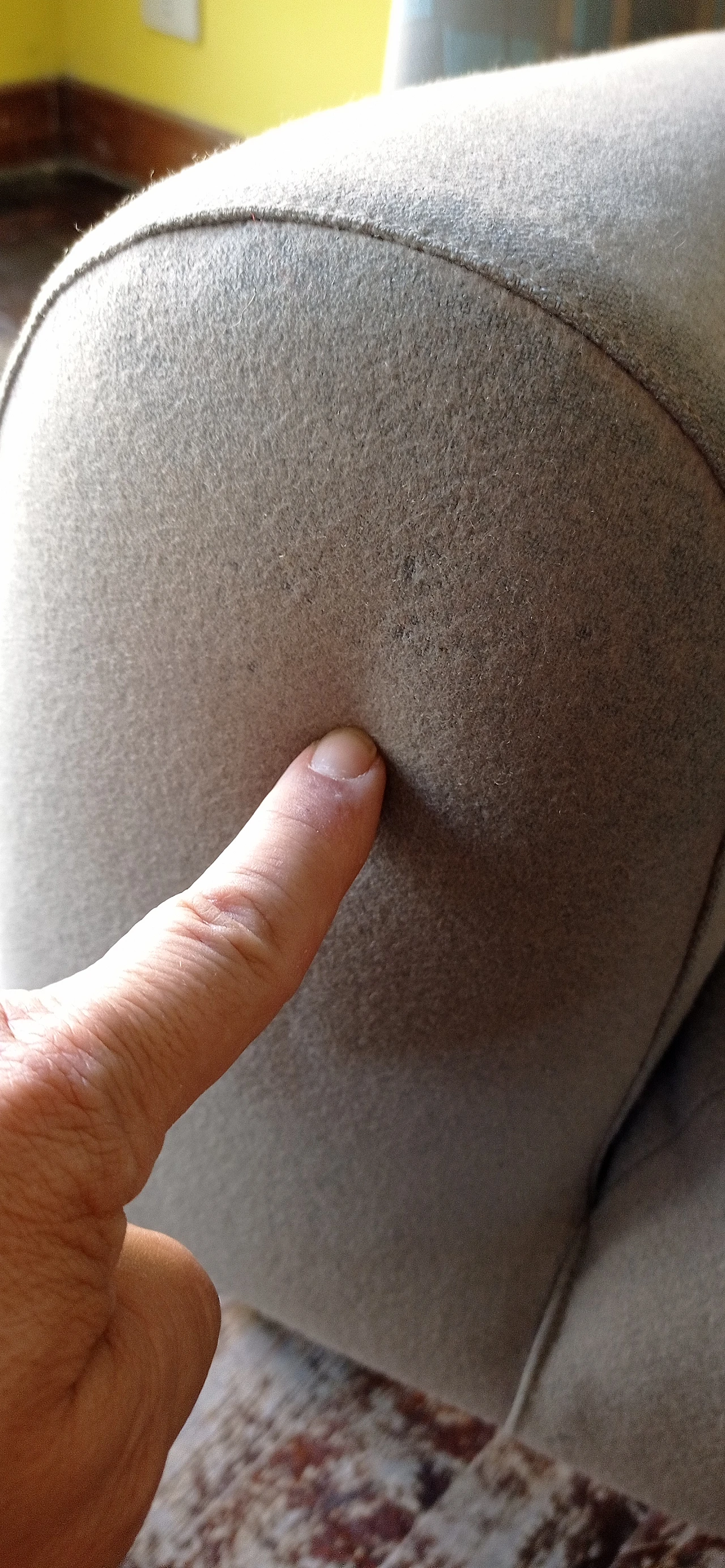 Poltrona Torsi in tessuto geometric di Paolo Deganello per Cassina 72