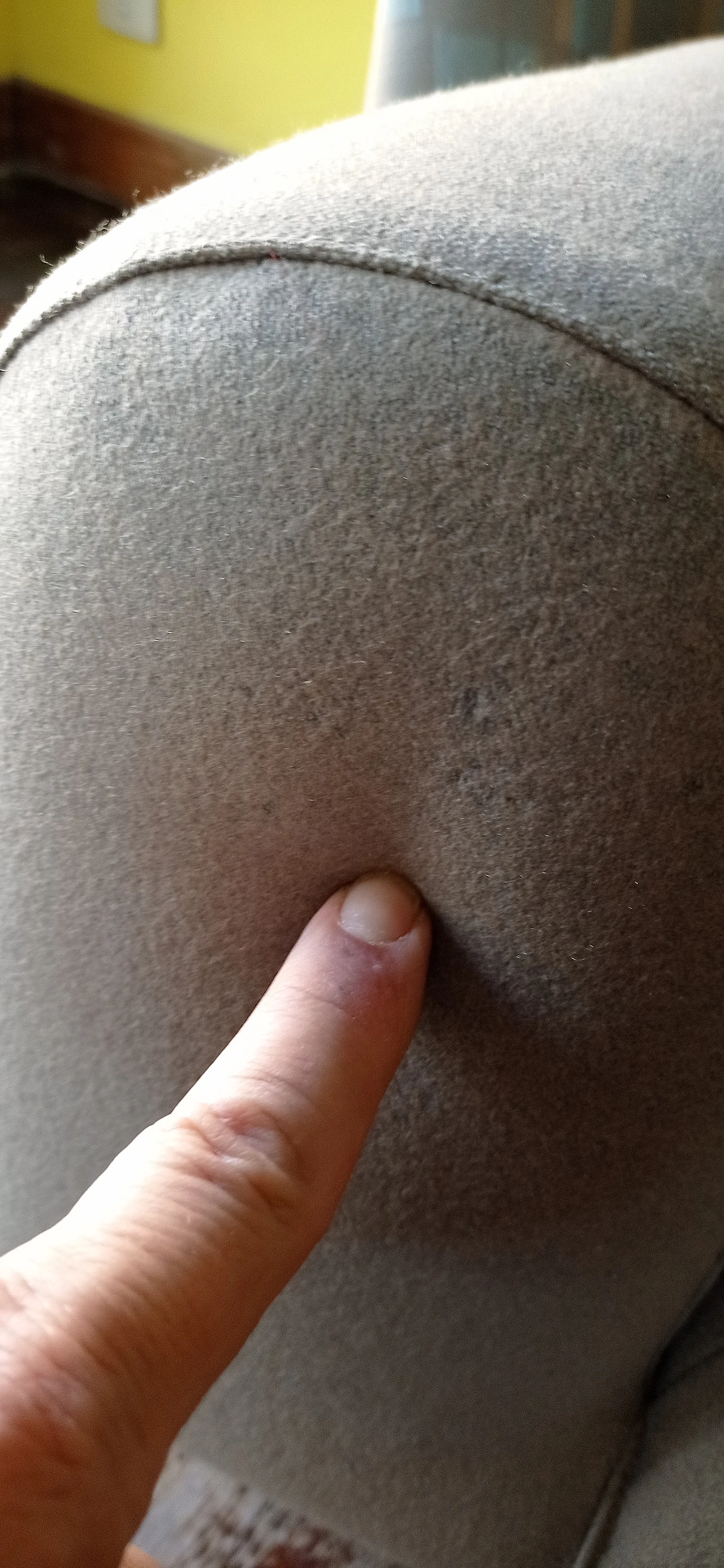 Poltrona Torsi in tessuto geometric di Paolo Deganello per Cassina 73