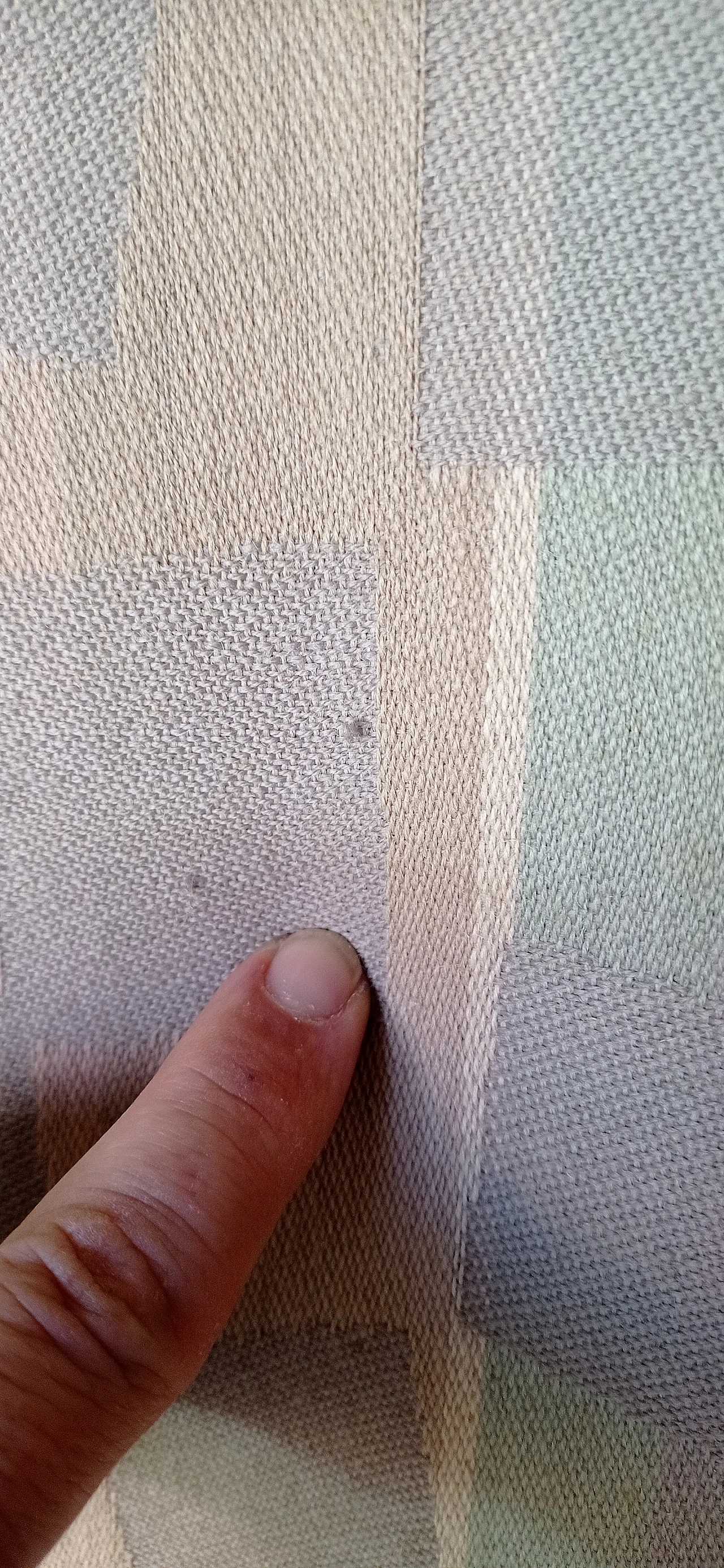 Poltrona Torsi in tessuto geometric di Paolo Deganello per Cassina 132