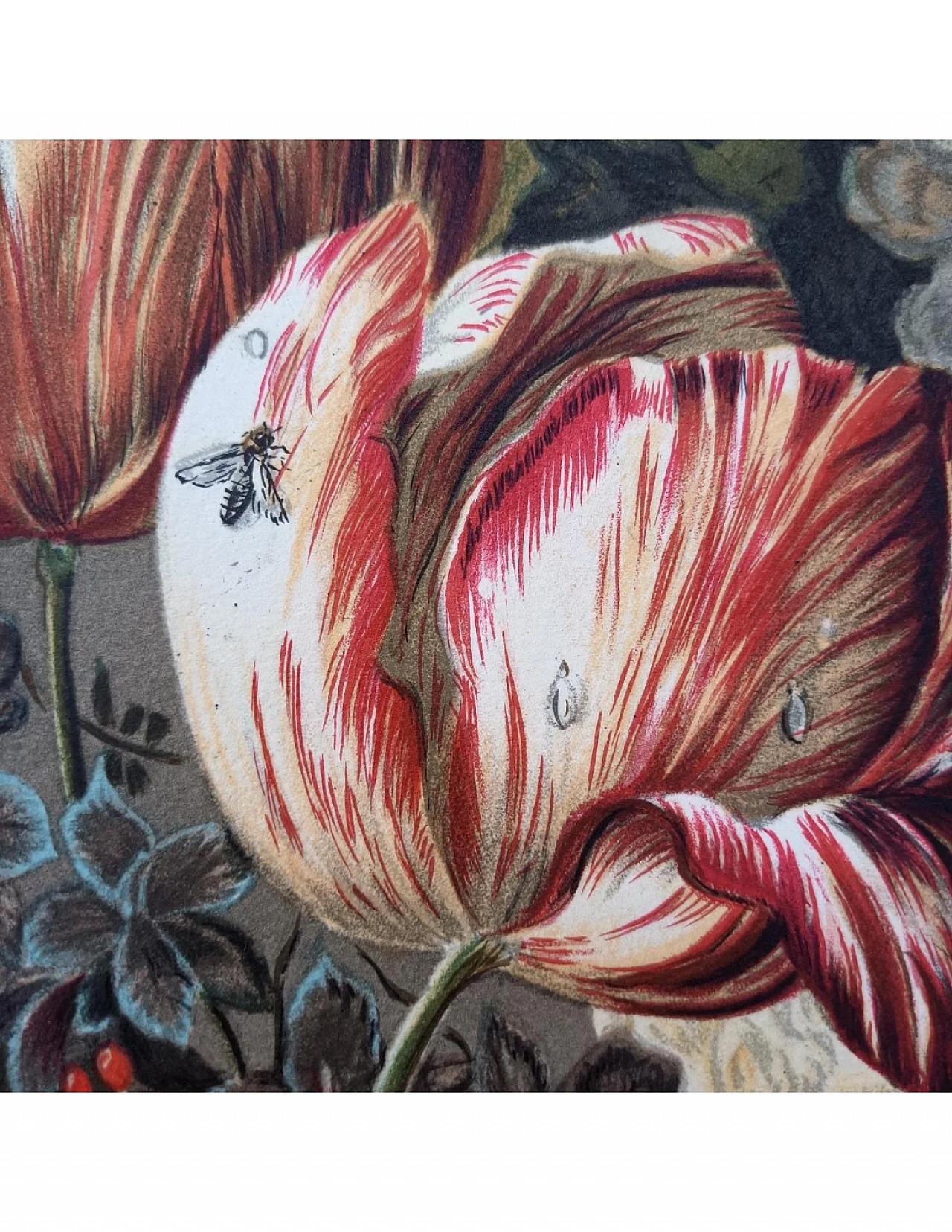 Joseph Nigg, Bouquet de Fleurs, lithography, 1960s 7