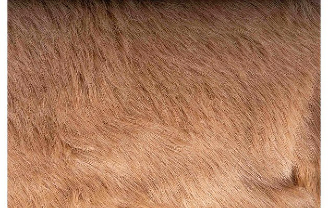 Tappeto rettangolare in pelle di capra cinese, anni '60 3