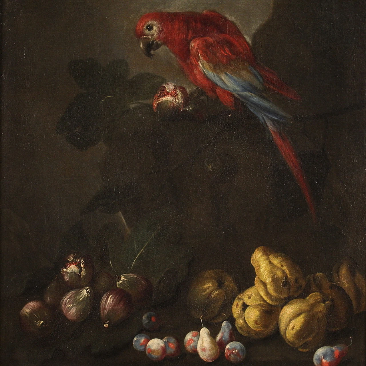 Nature morte con pappagalli, coppia di dipinti a olio su tela, '600 4