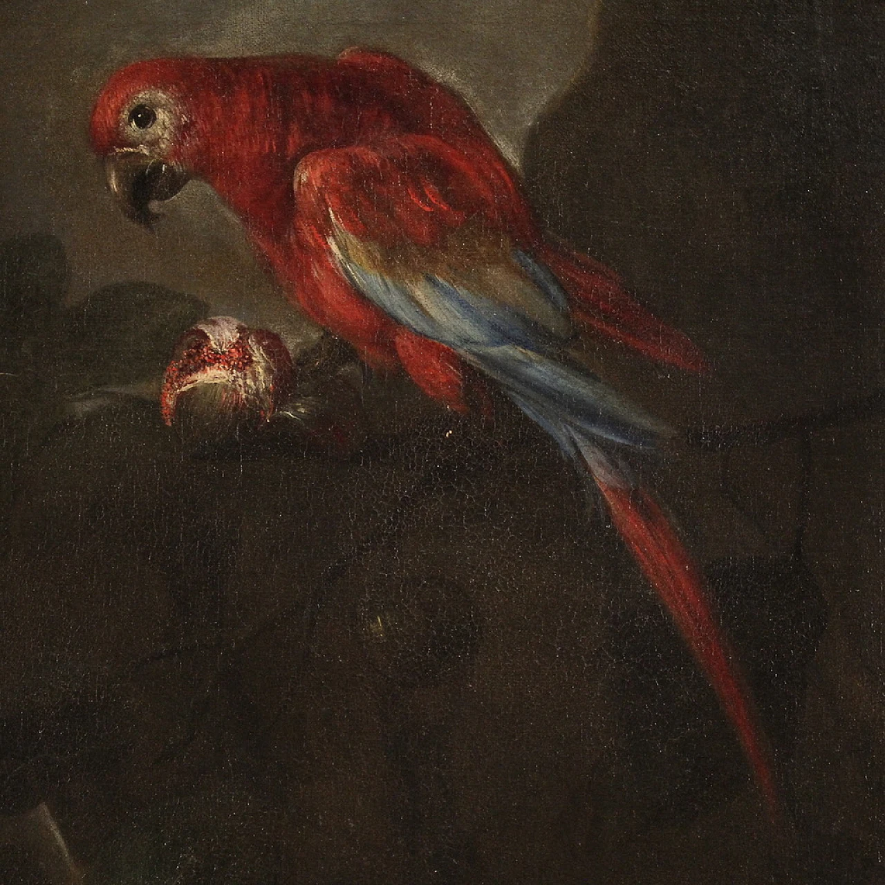 Nature morte con pappagalli, coppia di dipinti a olio su tela, '600 5