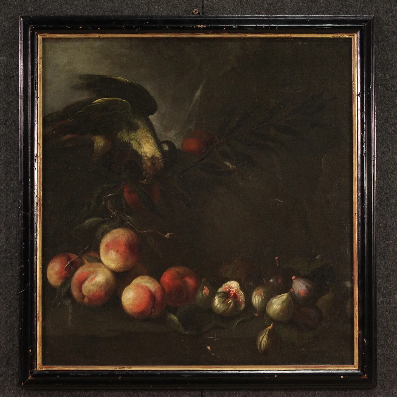 Nature morte con pappagalli, coppia di dipinti a olio su tela, '600 9