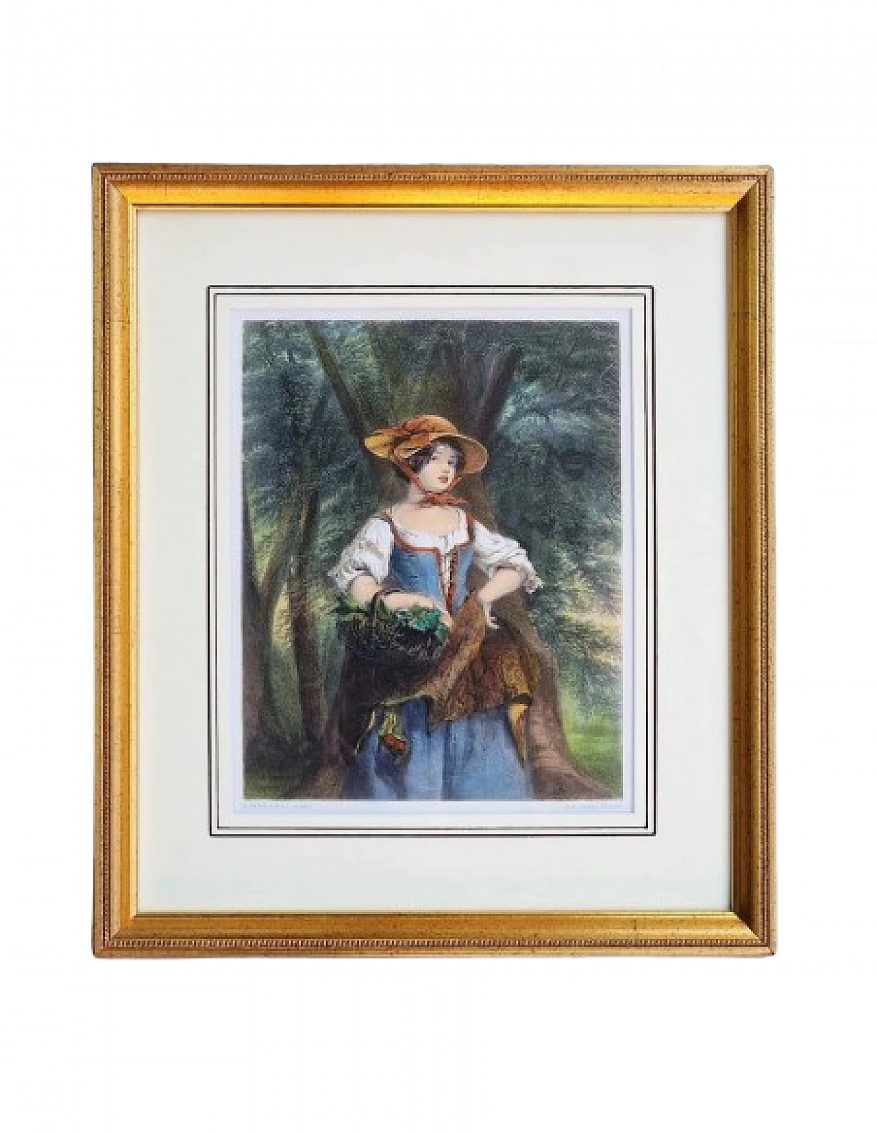 Jeens - Gavin, Phoebe Mayflower, incisione acquarellata, '800 2