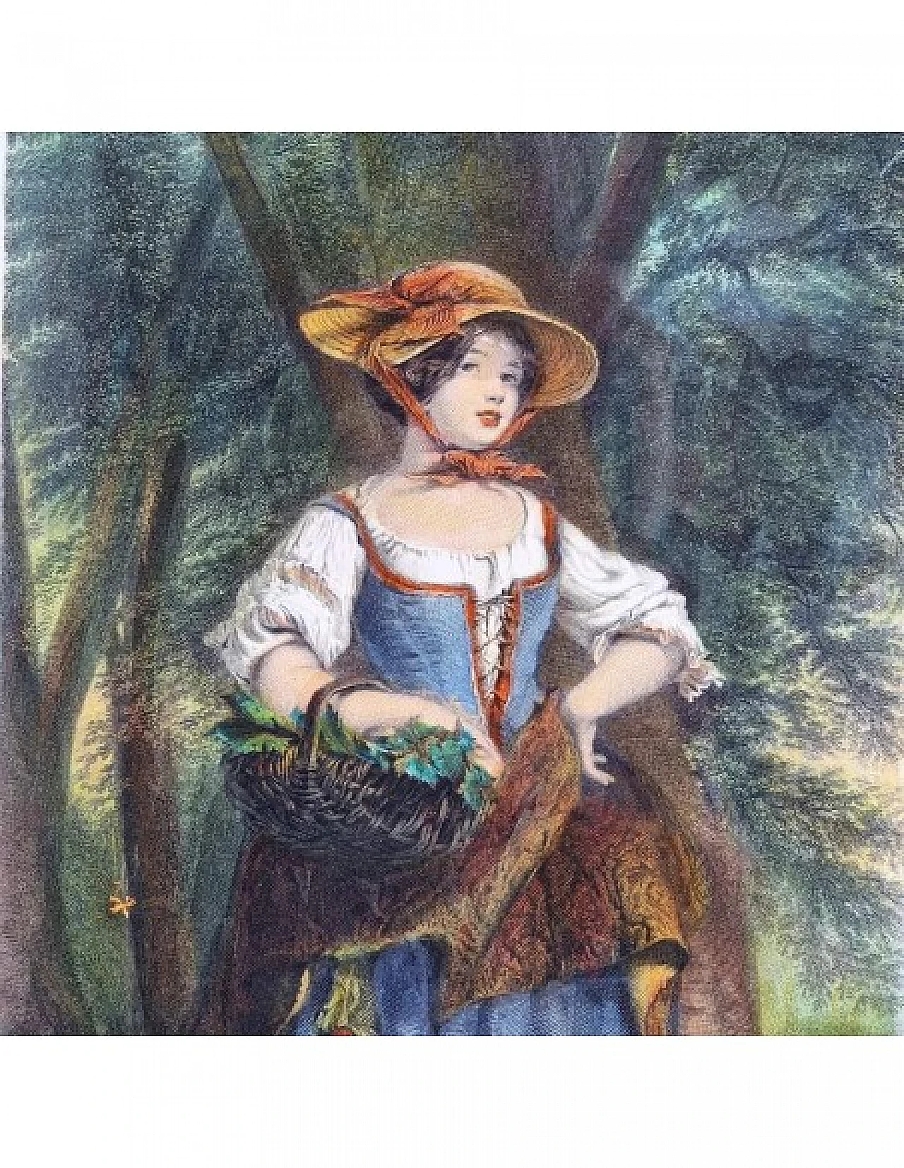 Jeens - Gavin, Phoebe Mayflower, incisione acquarellata, '800 3