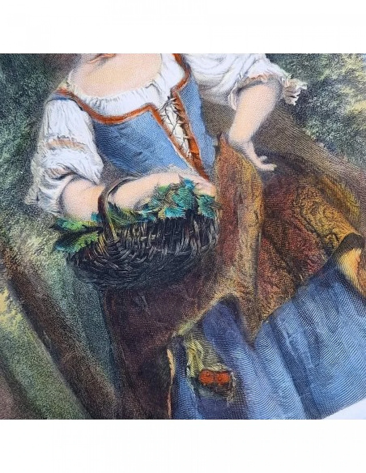 Jeens - Gavin, Phoebe Mayflower, incisione acquarellata, '800 5