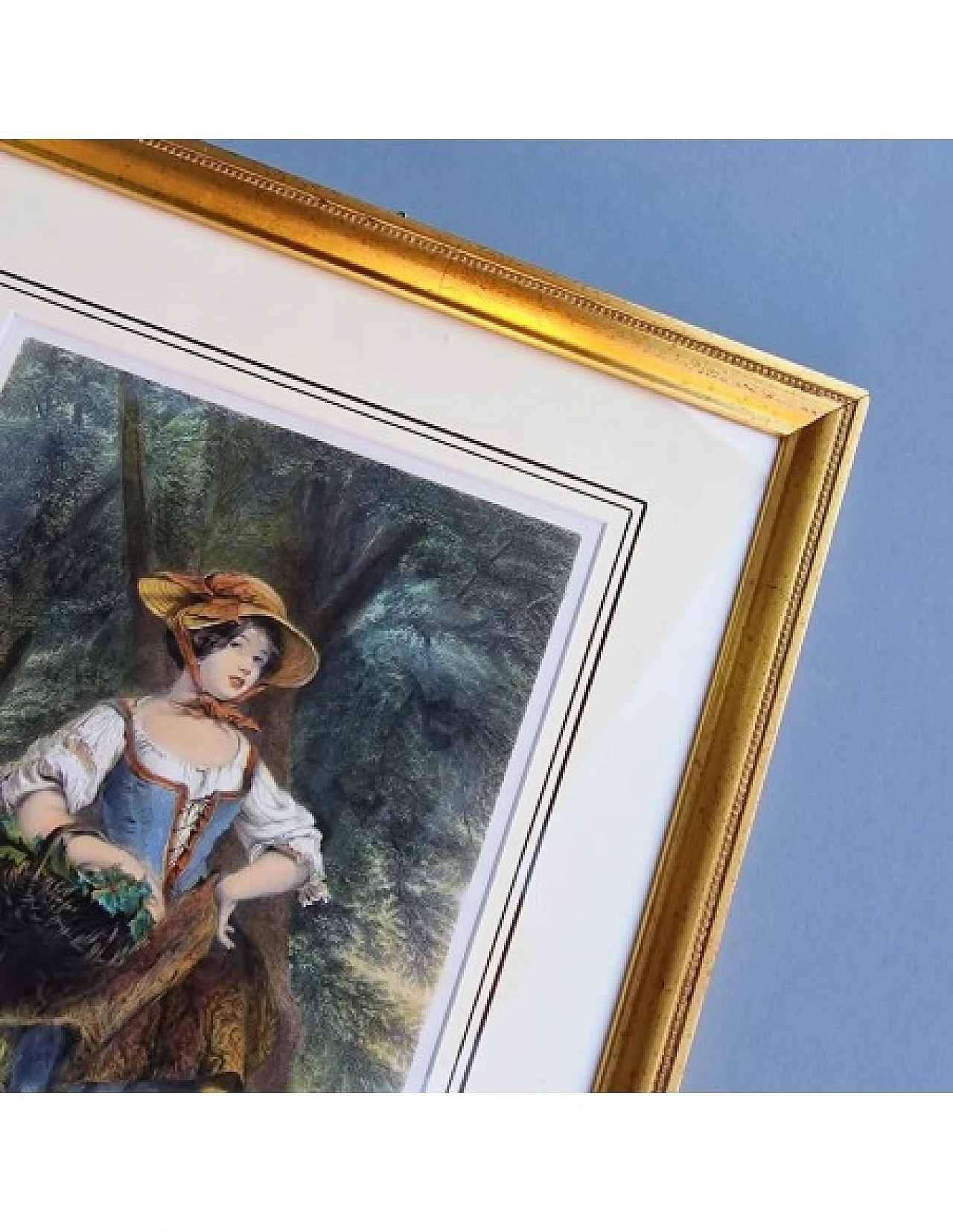 Jeens - Gavin, Phoebe Mayflower, incisione acquarellata, '800 7