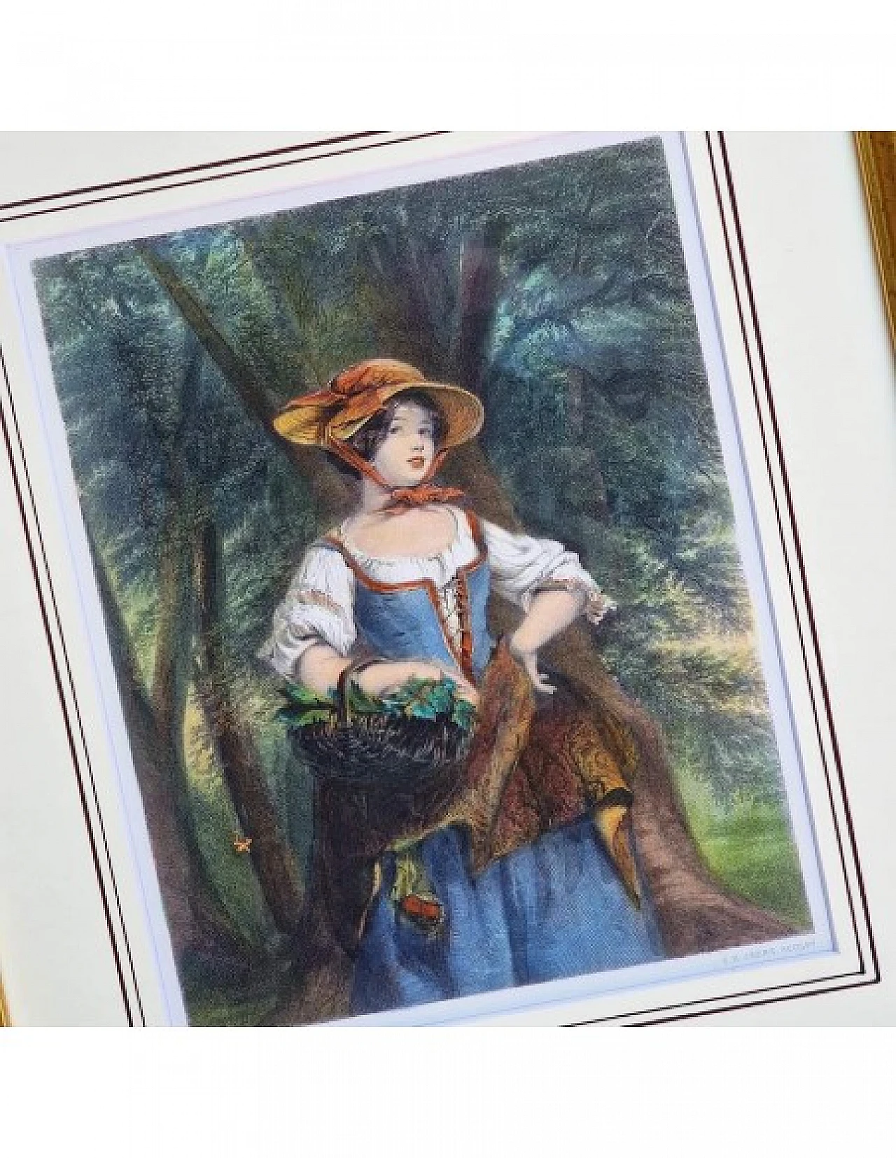 Jeens - Gavin, Phoebe Mayflower, incisione acquarellata, '800 8