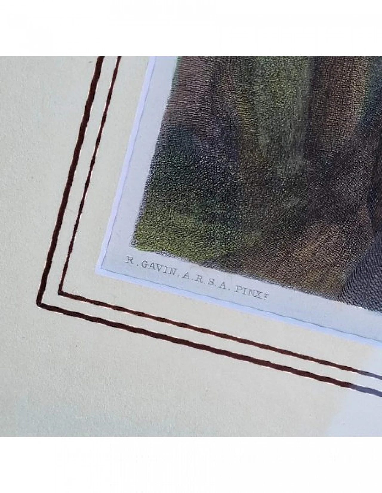 Jeens - Gavin, Phoebe Mayflower, incisione acquarellata, '800 10