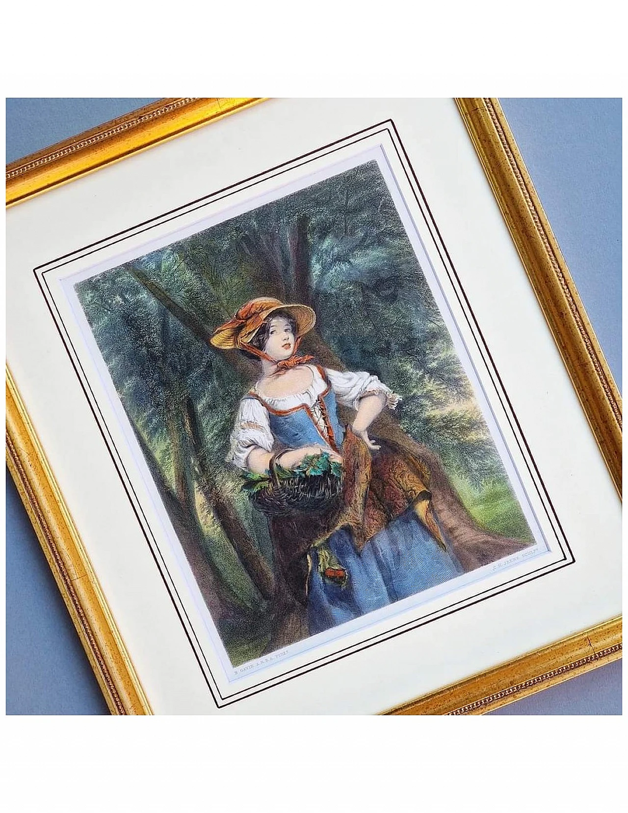 Jeens - Gavin, Phoebe Mayflower, incisione acquarellata, '800 11