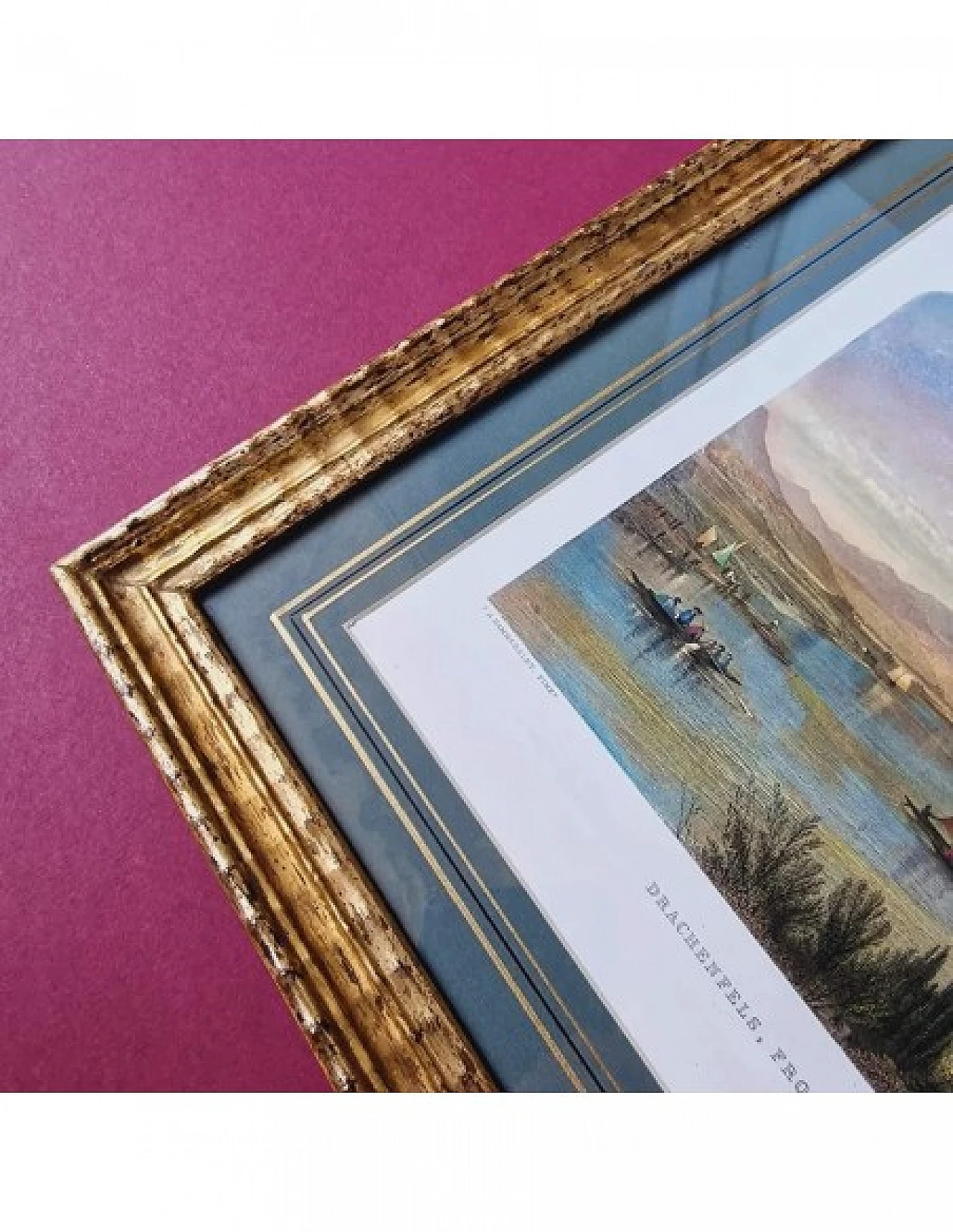 Brandard - Hammersley, Veduta sul Reno, incisione acquarellata, '800 6