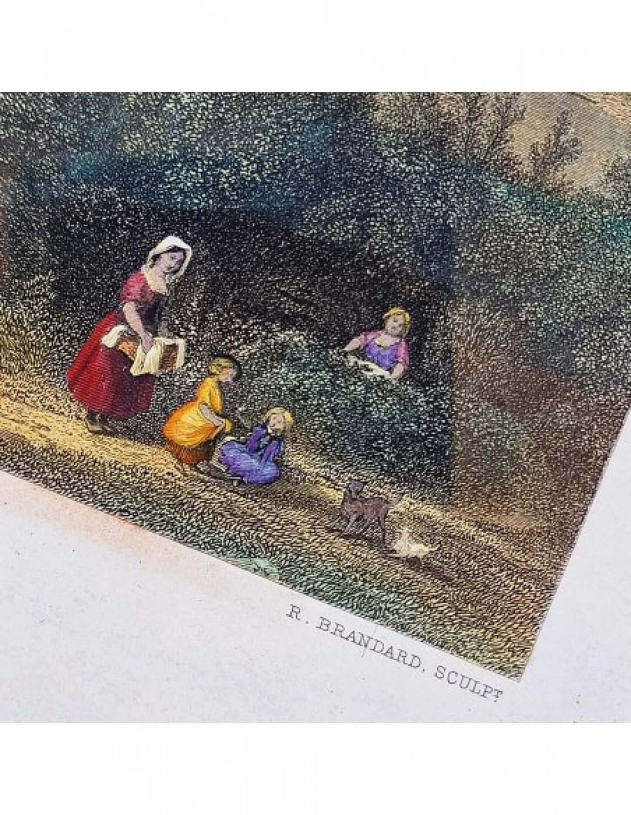 Brandard - Hammersley, Veduta sul Reno, incisione acquarellata, '800 7