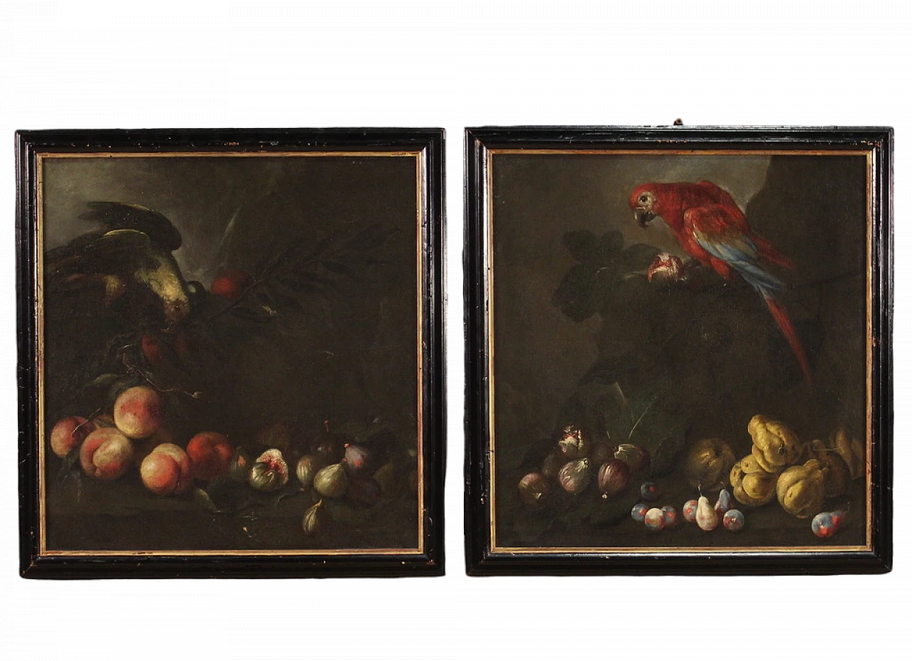 Nature morte con pappagalli, coppia di dipinti a olio su tela, '600 17
