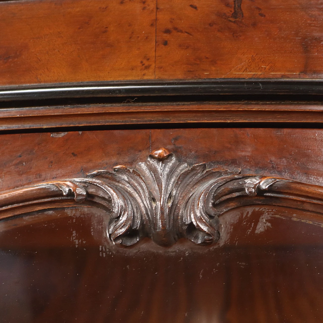Mahogany and burl veneer showcase with rocaille motifs 5