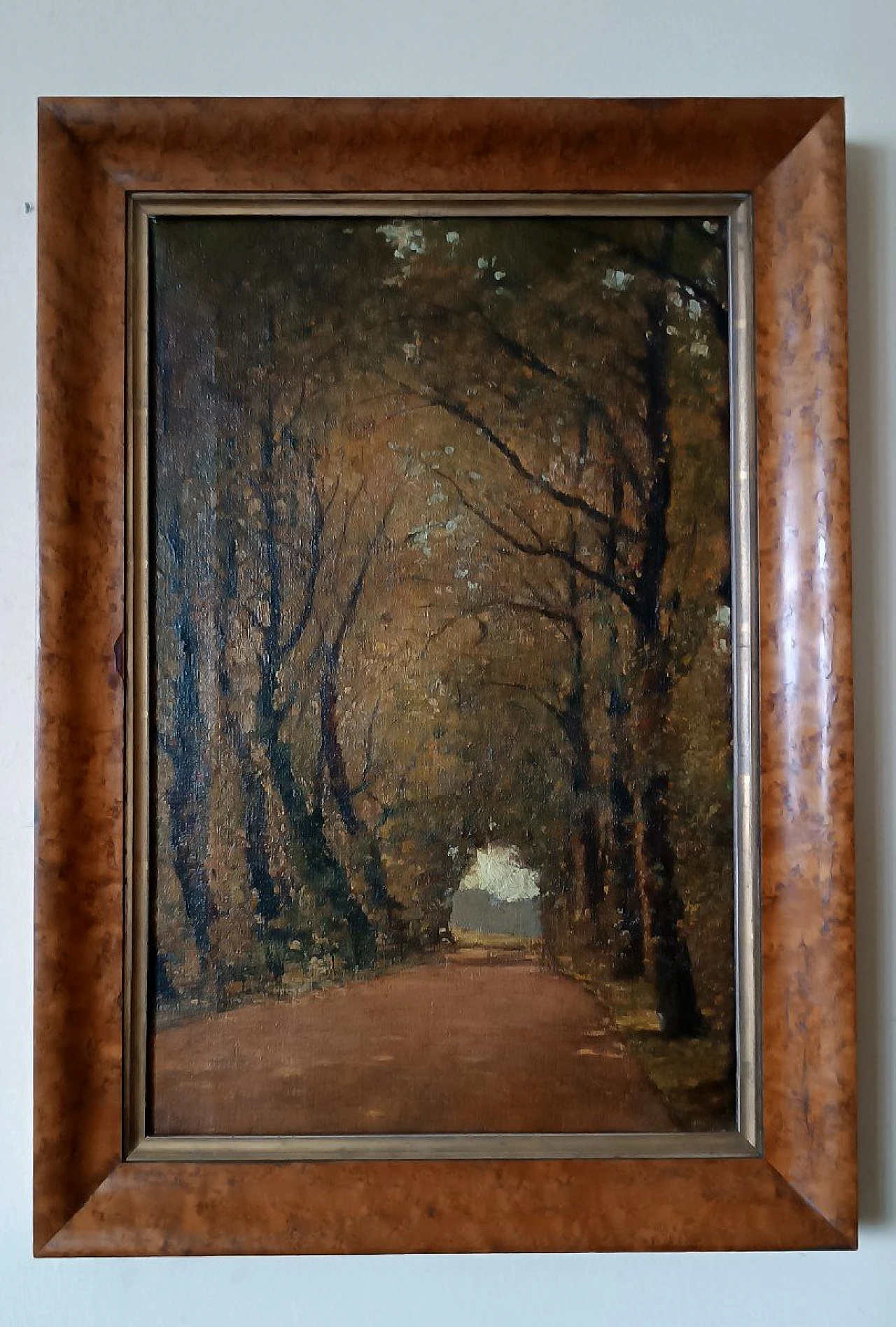 Scorcio con alberi, dipinto a olio su tela, fine '800 1