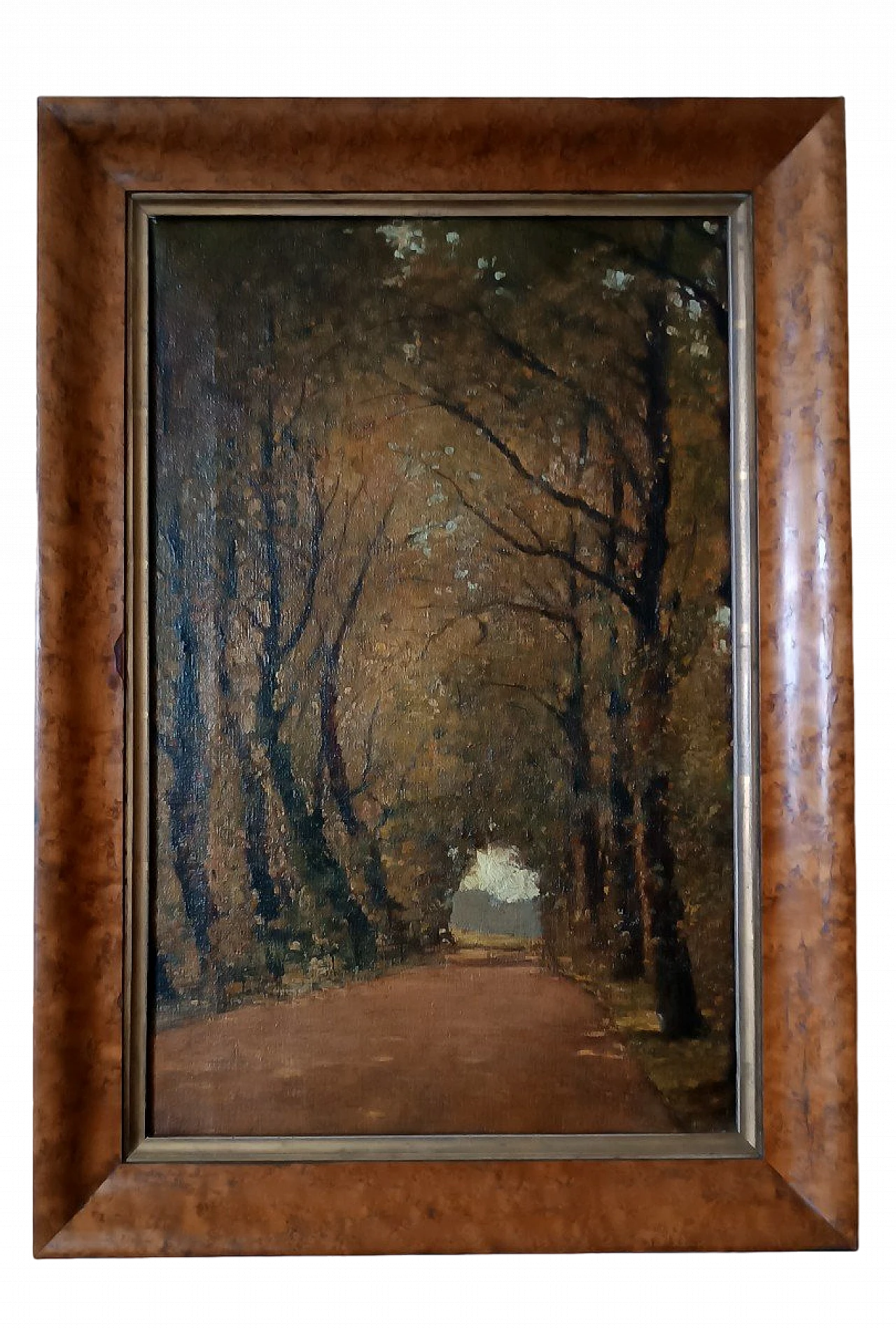 Scorcio con alberi, dipinto a olio su tela, fine '800 2