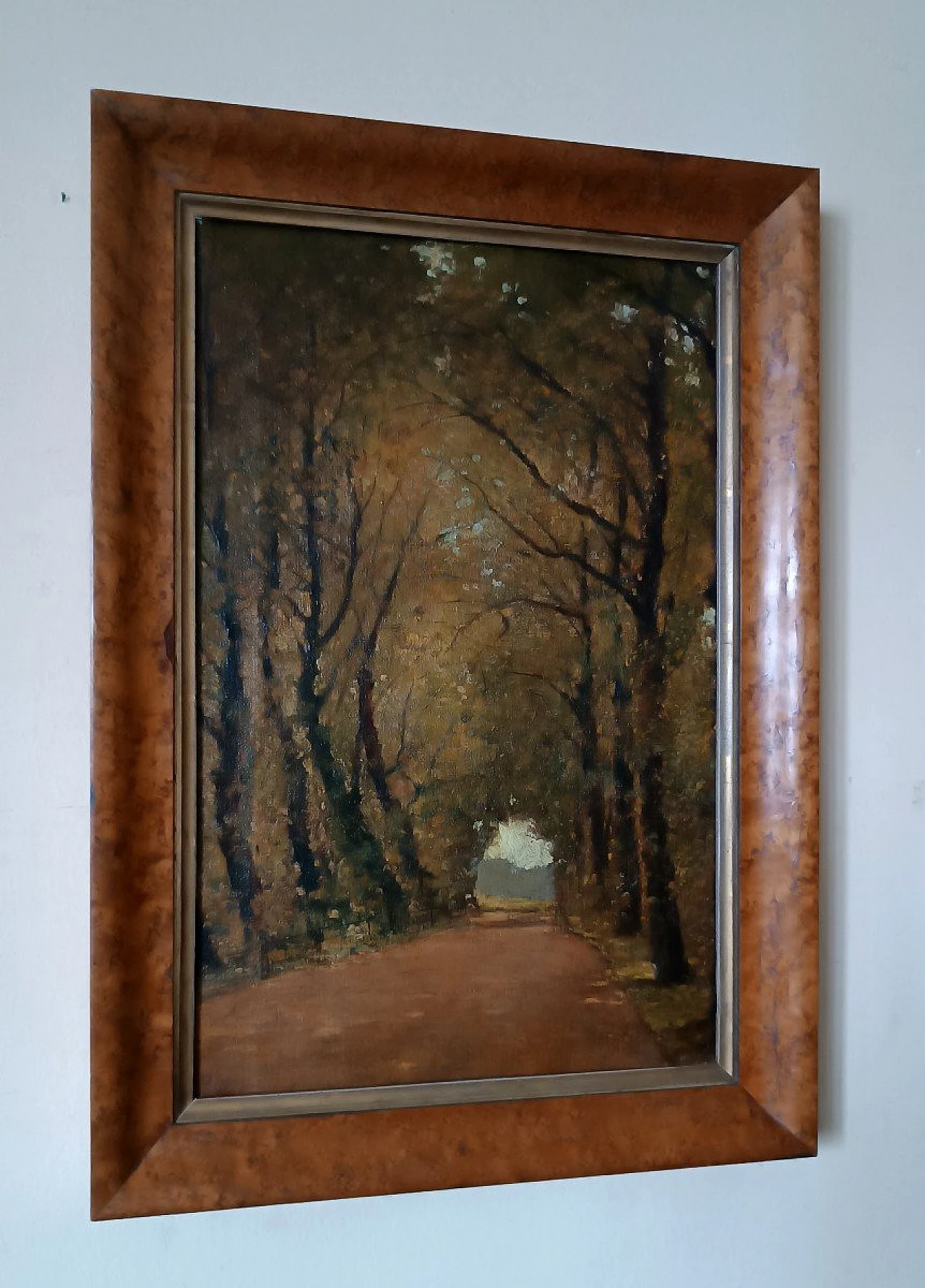Scorcio con alberi, dipinto a olio su tela, fine '800 3