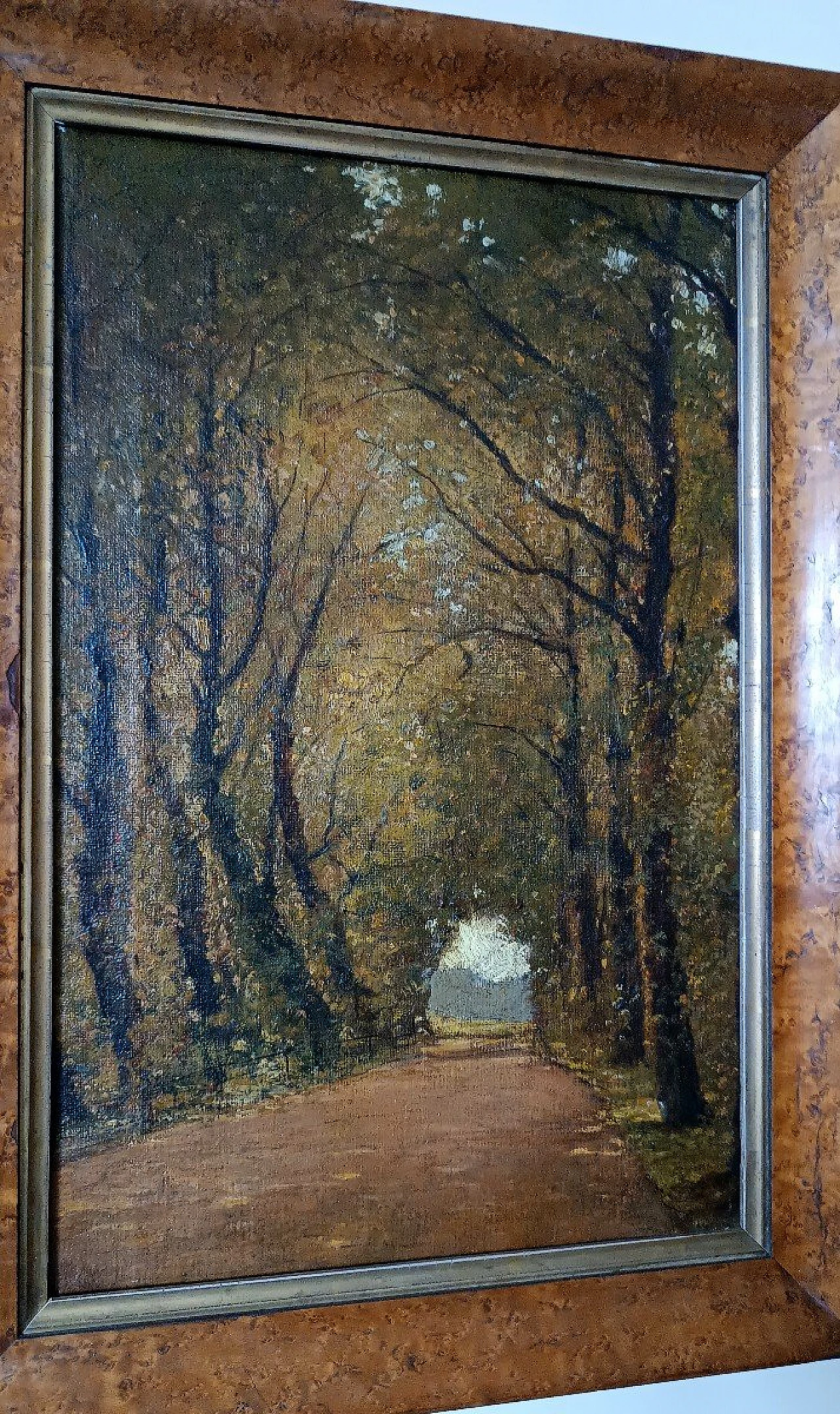 Scorcio con alberi, dipinto a olio su tela, fine '800 4