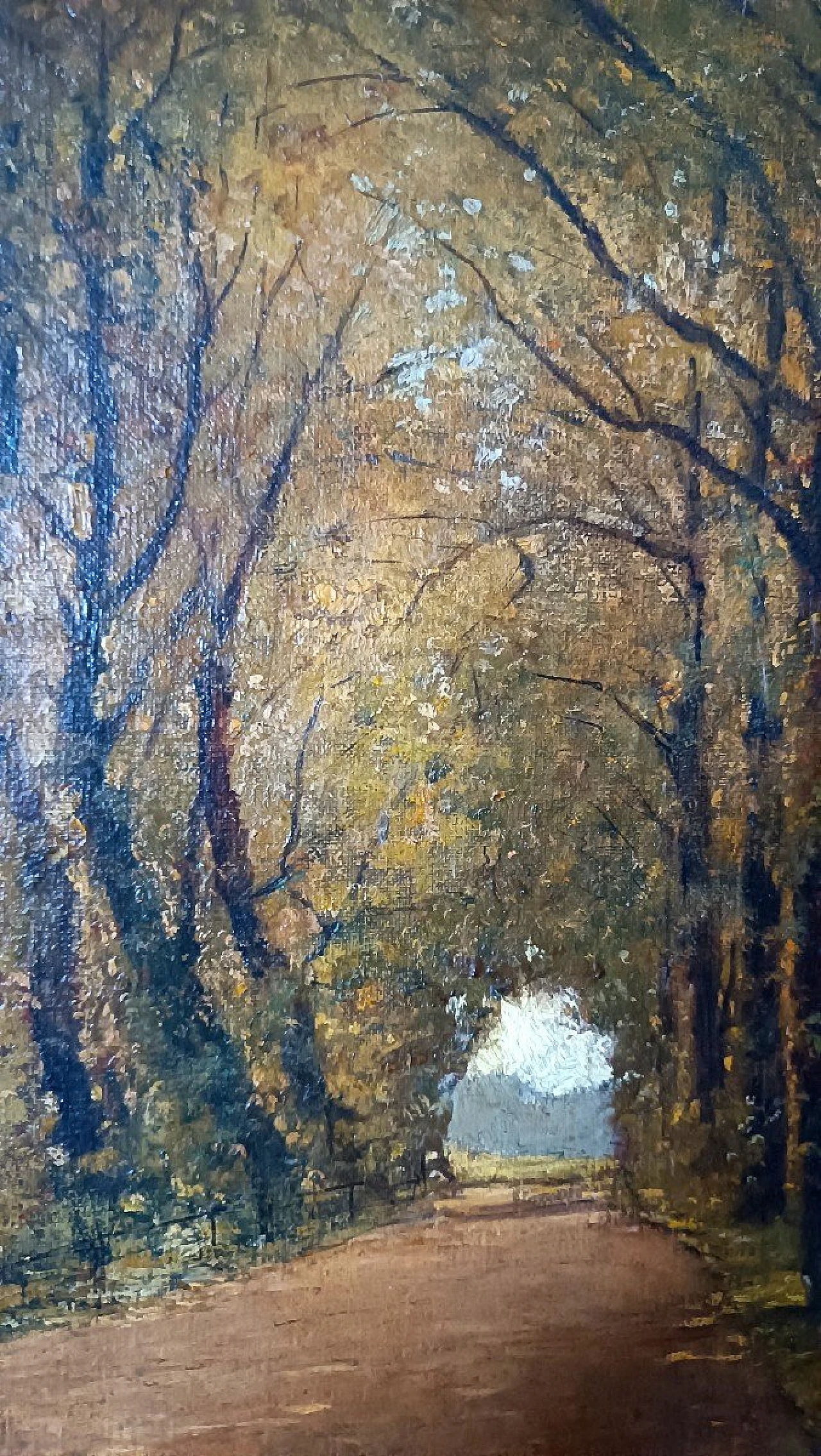 Scorcio con alberi, dipinto a olio su tela, fine '800 6