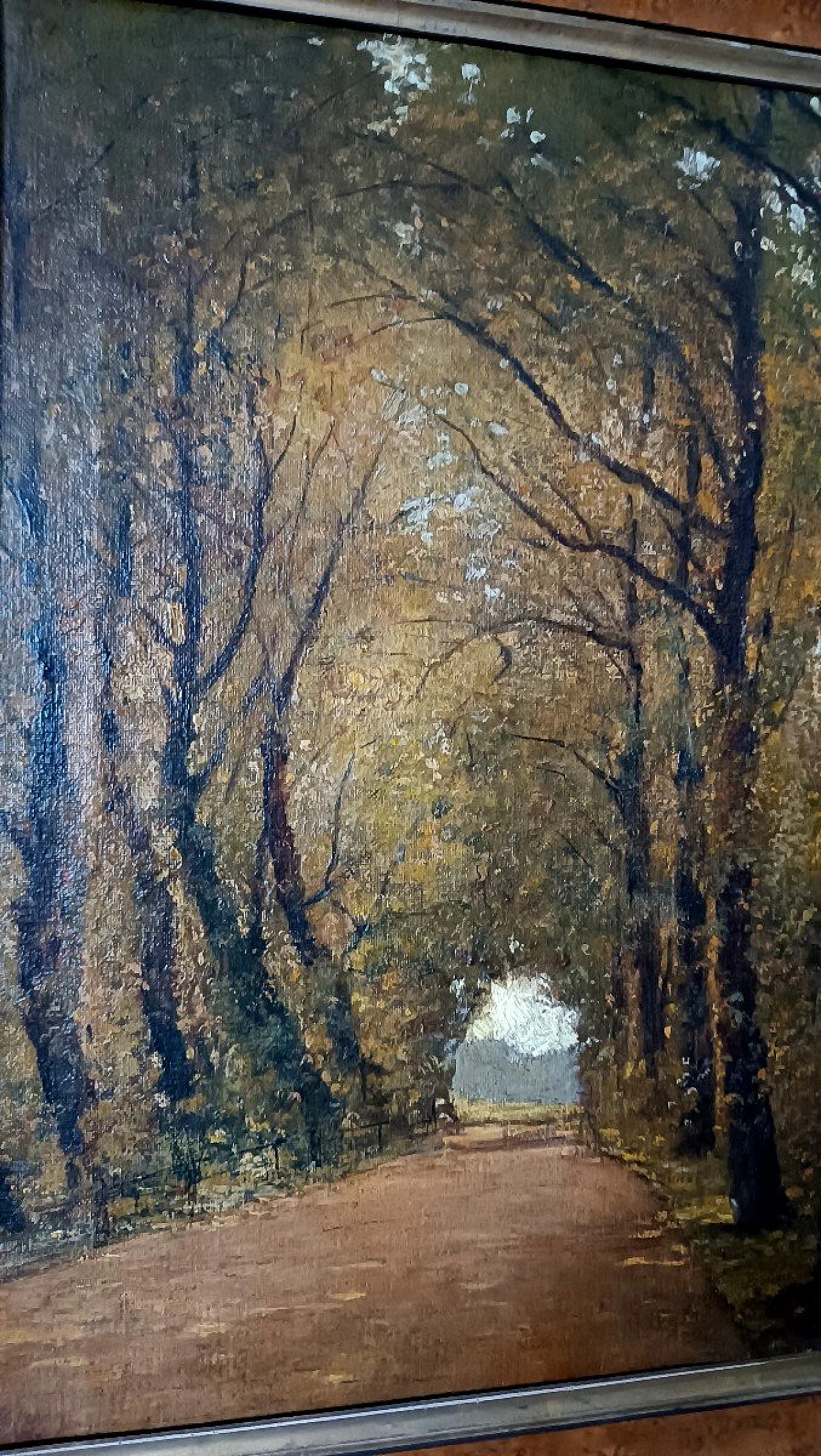 Scorcio con alberi, dipinto a olio su tela, fine '800 7